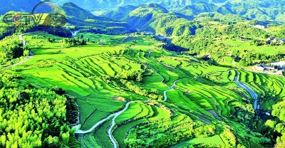 朱溪镇：大力发展乡村旅游