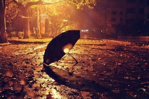 长垣的雨