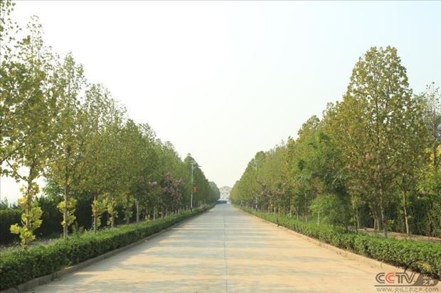 微信图片_20200911234012.jpg