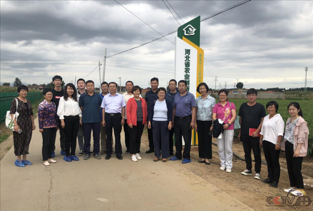河北省秦皇岛市抚宁区农业创新驿站生姜绿色高质量发展学术交流会圆满举办