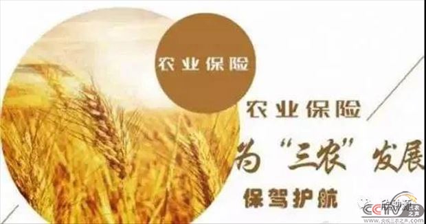 微信图片_20201007110858.jpg