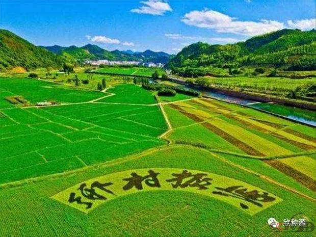 微信图片_20201007110831.jpg