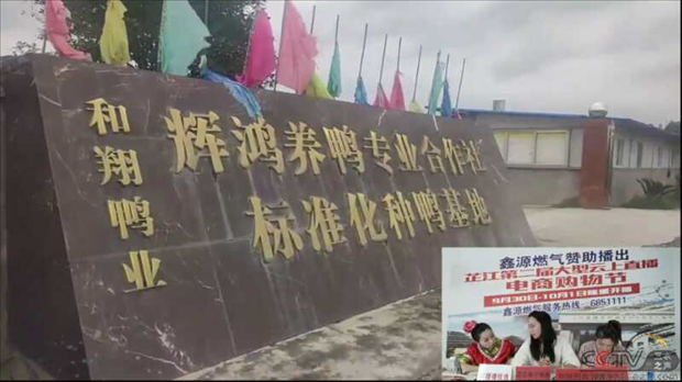 图片28.png