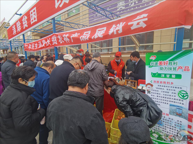 图片31.png