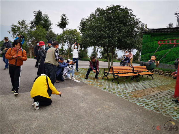 图片27.png