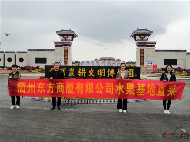 图片8.png
