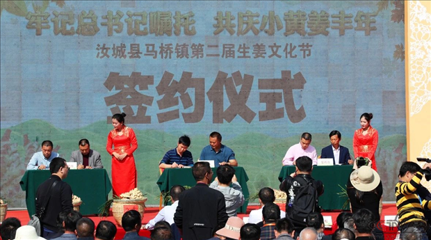 图片31.png