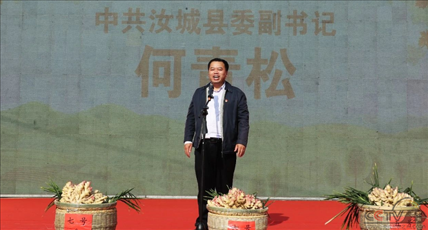 图片29.png