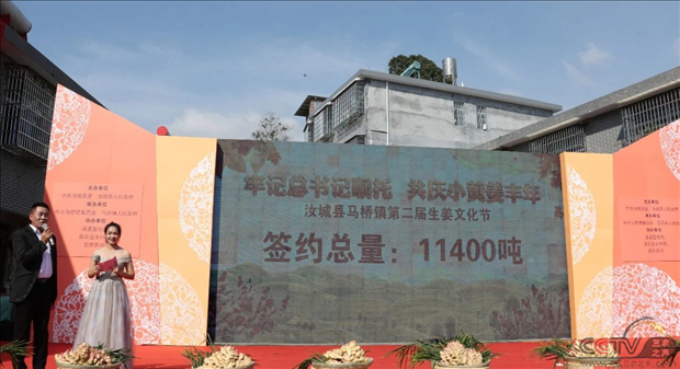 图片32.png