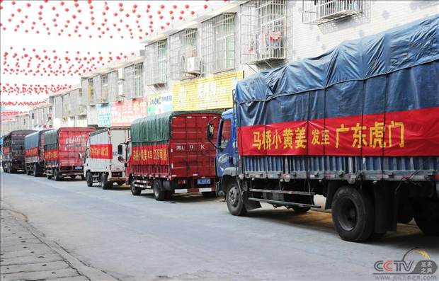 图片38.png