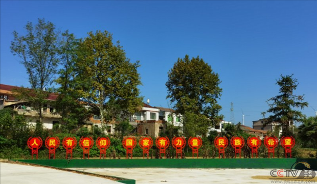 图片6.png