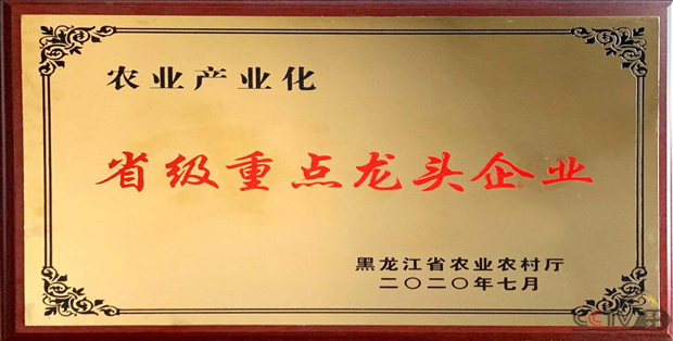 图片17.png