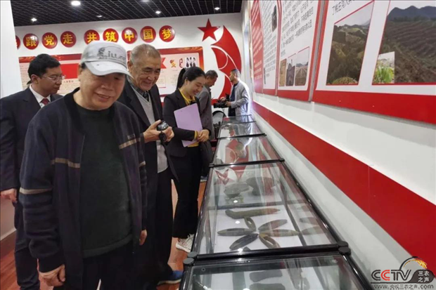 图片6.png