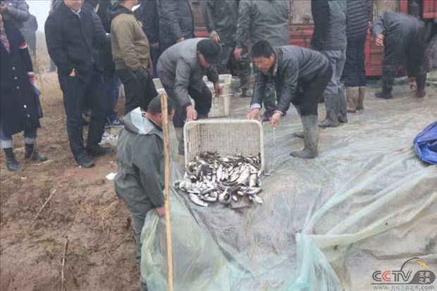 微信图片_20201118142007.jpg