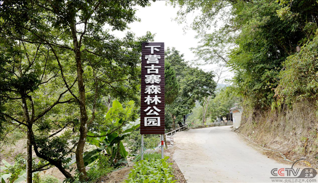 图片18.png