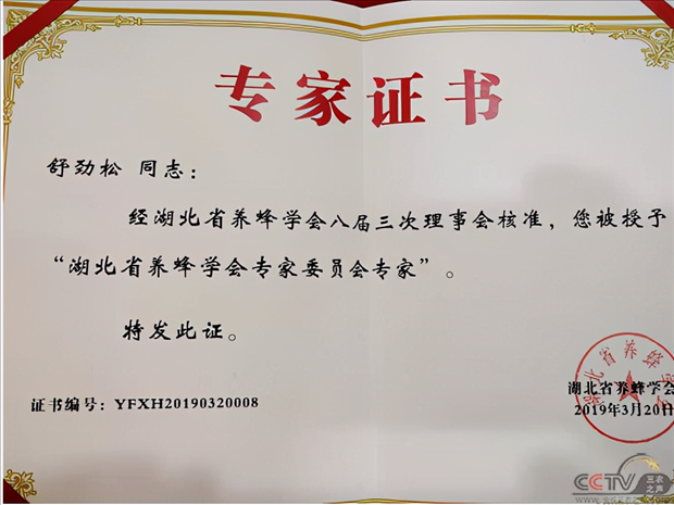 图片33.png