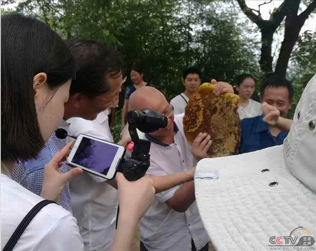 图片36.png