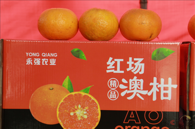 图片16.png