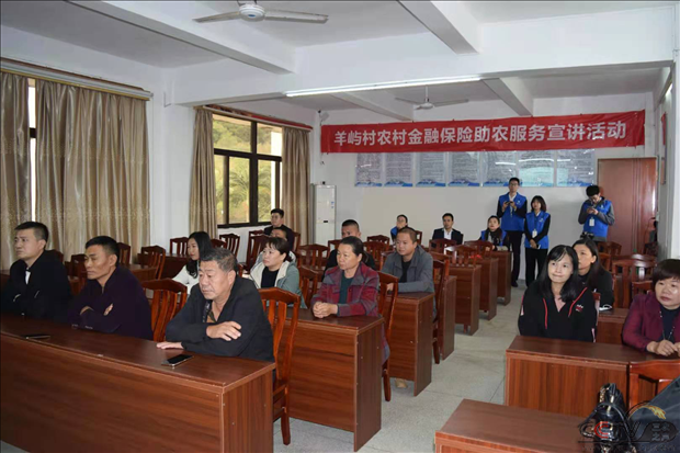 图片31.png