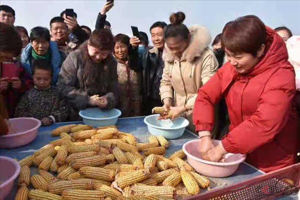 图片13.png