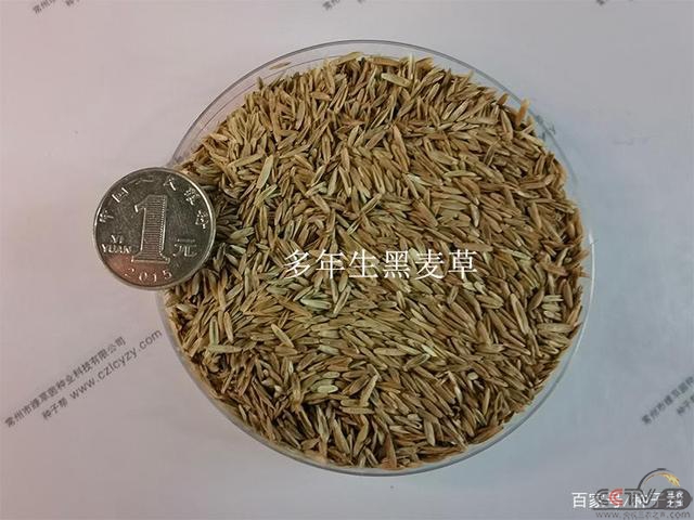 9a504fc2d5628535888ce2c1ababacc1a6ef63a9.jpg