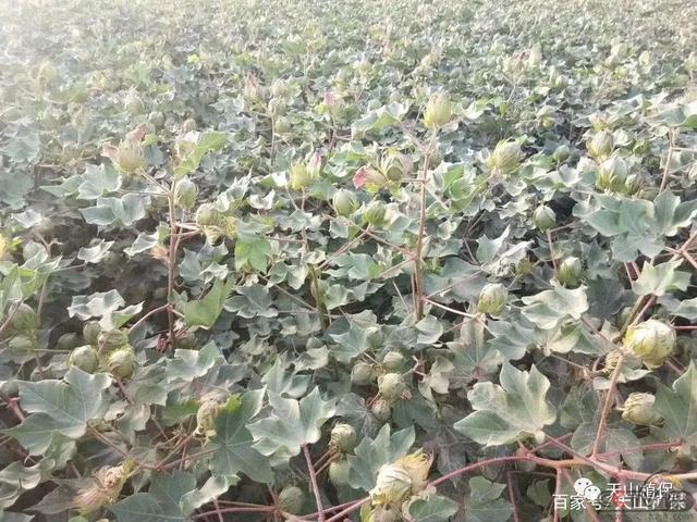 微信图片_20210109081605.jpg
