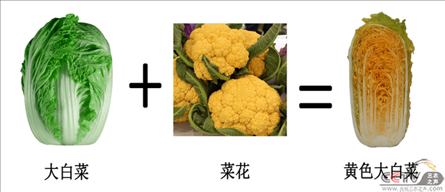 117d9ddf8eec452eaee88a5f46b195b9.png