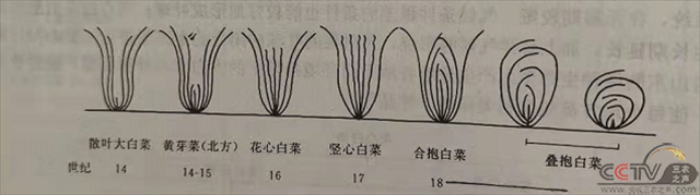 1c59c19b04b543be81043ac944d59905.png