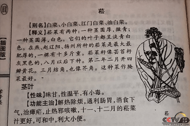 55ea2a8635ab4596944594e0cfc9c6f0.png