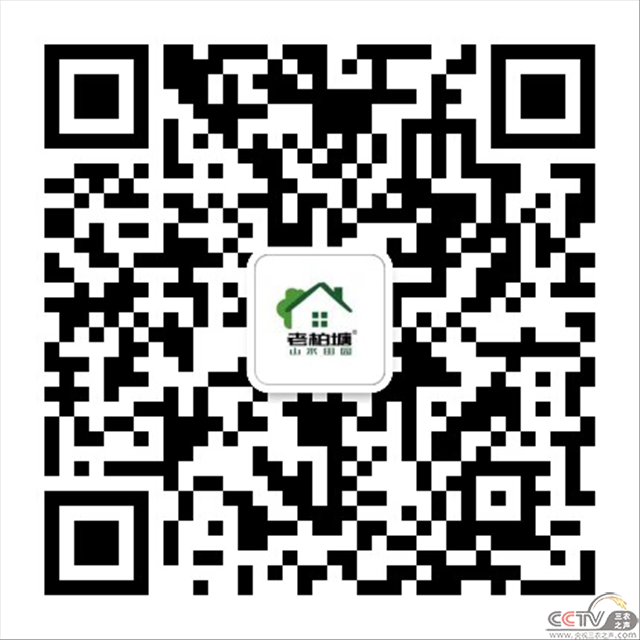 图片38.png