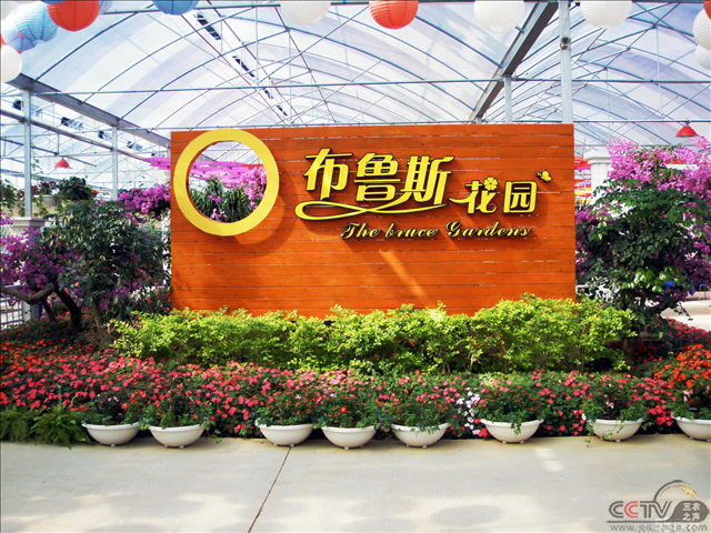 图片10.png