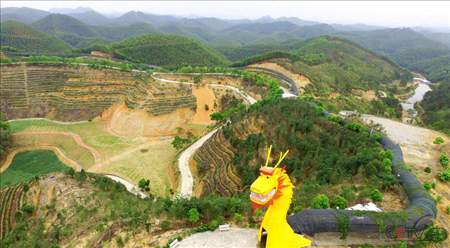图片22.png