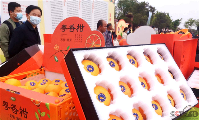 图片19.png