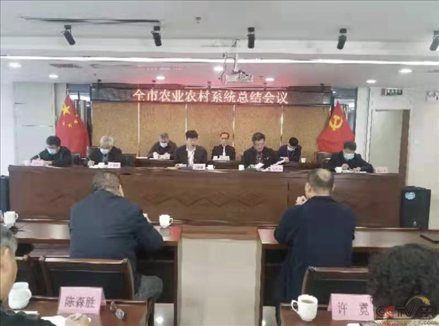 图片24.png