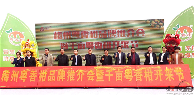 图片18.png
