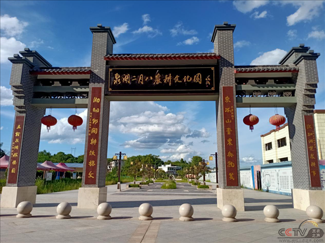 图片31.png
