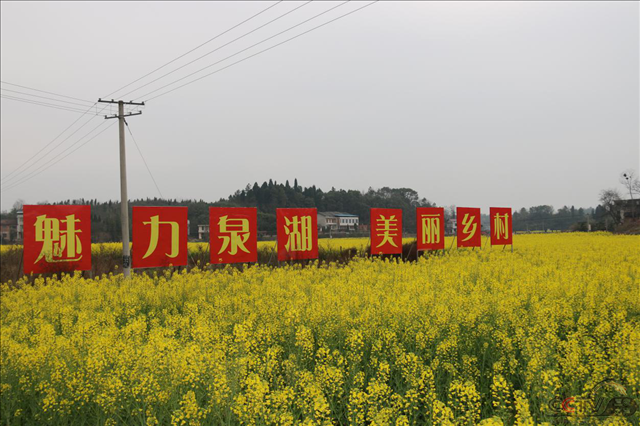 图片30.png