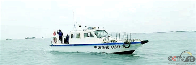 图片40.png
