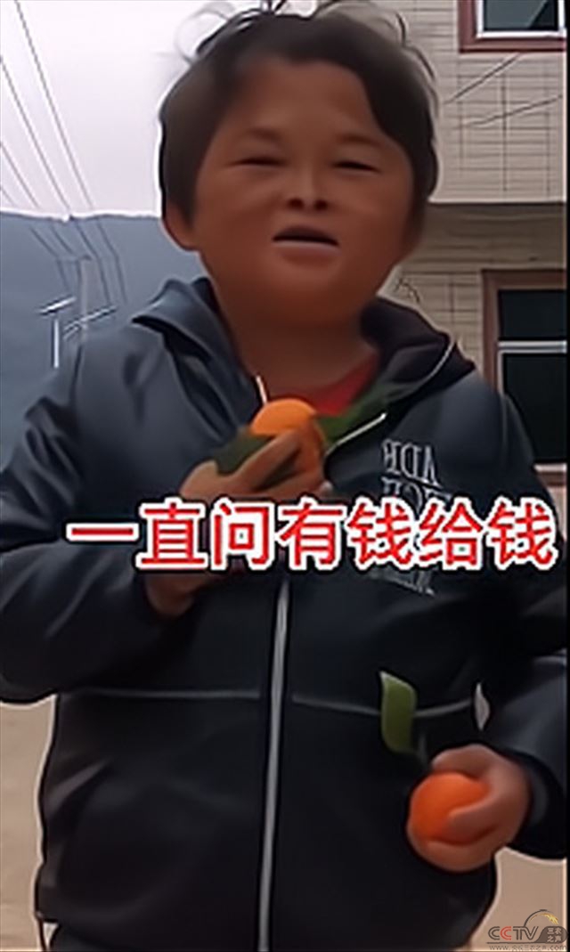 291e60f1-4017-42d6-87f2-95f421c2e033.jpg