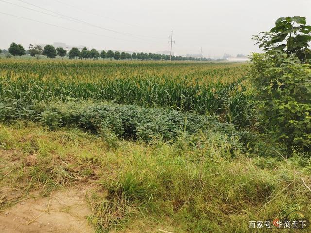 微信图片_20210215142353.jpg