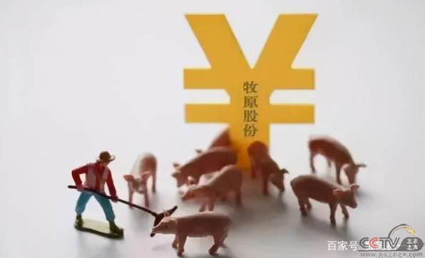 图片80.png