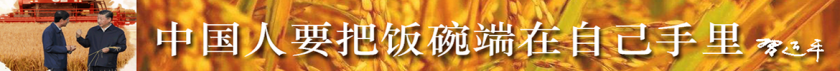 20.png