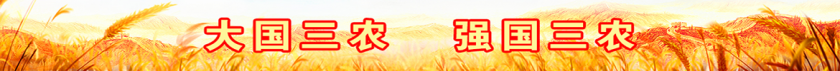 14.png