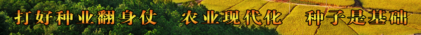 17.png