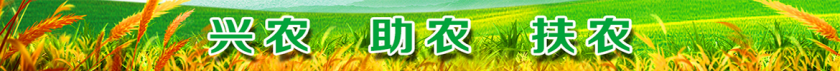 12.png
