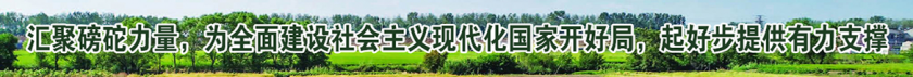 26.png