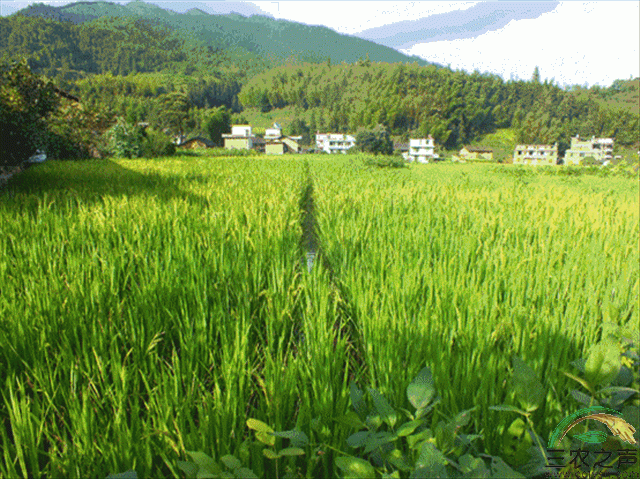 山西：培育高素质农民 助力乡村振兴