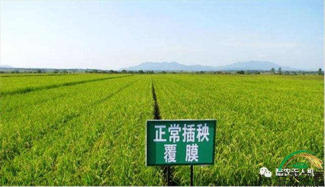中央一号文件：“三农”工作重心历史性转移