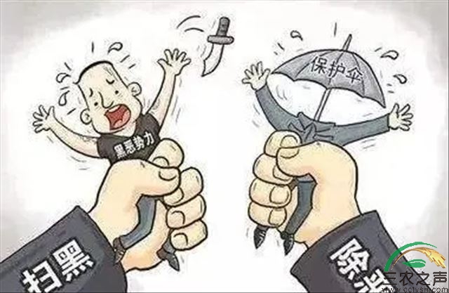 提升乡村治理法治化水平 为全面推进乡村振兴赋能