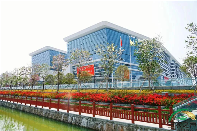 图片15.png